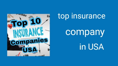 USA Insurance Companies: A Comprehensive Overview